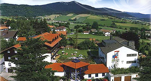 Hotel in Lam Bayerischer Wald